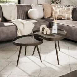 WoonStijl Salontafel Contour niervormig set van 2