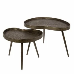 WoonStijl Salontafel Contour niervormig set van 2