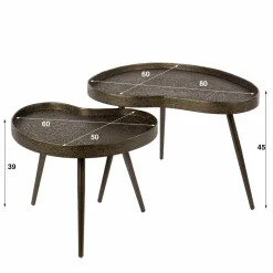 WoonStijl Salontafel Contour niervormig set van 2