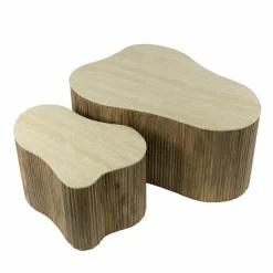 WoonStijl Salontafel Nuovo shamrock set van 2 / Massief mango zand