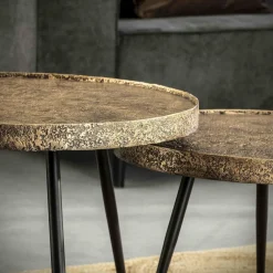 WoonStijl Salontafel set van 2 rond metallic