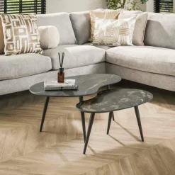 WoonStijl Salontafel set van 2 niervormig fossil