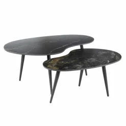 WoonStijl Salontafel set van 2 niervormig fossil