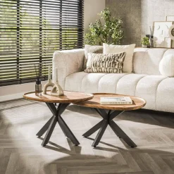 WoonStijl Salontafel set van 2 spider