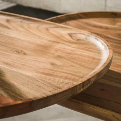 WoonStijl Salontafel set van 2 spider