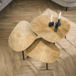 WoonStijl Salontafel set van 3 vierhoekig ray metal