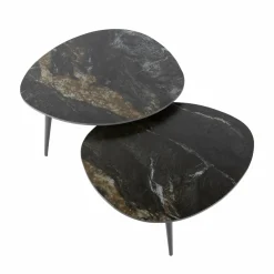 WoonStijl Salontafel set van 2 organisch fossil