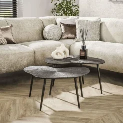 WoonStijl Salontafel set van 2 leaf Brown Ray Metal
