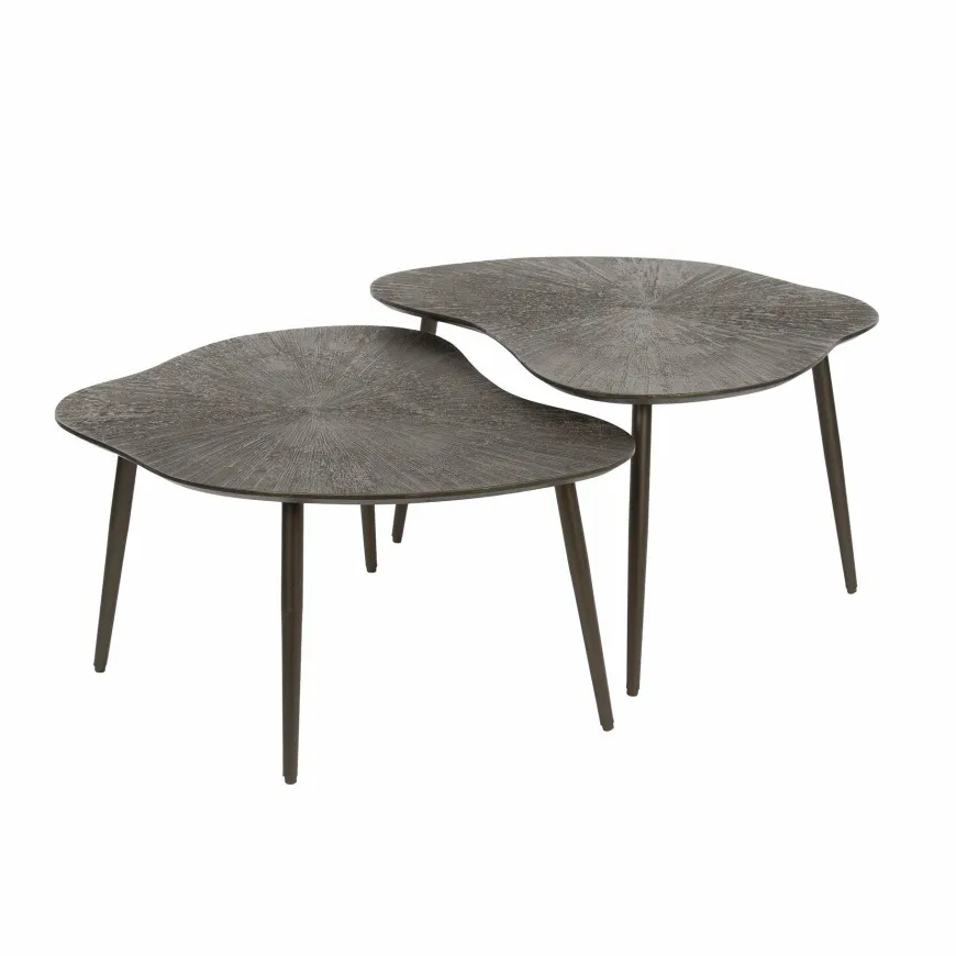 WoonStijl Salontafel set van 2 leaf Brown Ray Metal