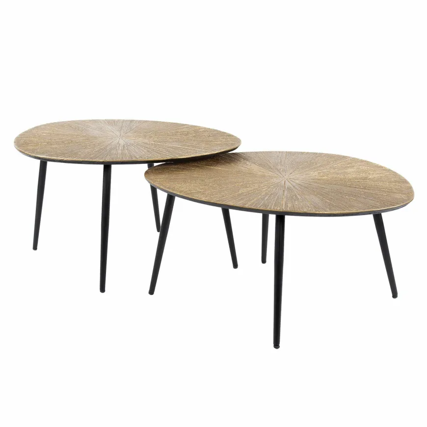 WoonStijl Salontafel set van 2 organisch ray metal