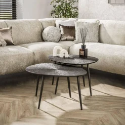 WoonStijl Salontafel set van 2 organisch Brown Ray Metal