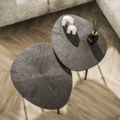 WoonStijl Salontafel set van 2 organisch Brown Ray Metal