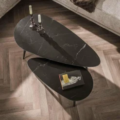 WoonStijl Salontafel set van 2 niervormig ceramic