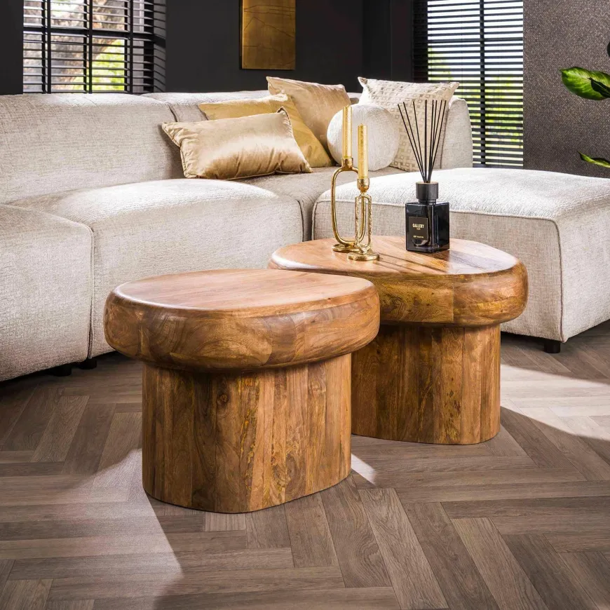 WoonStijl Salontafel Sleek mango set van 2