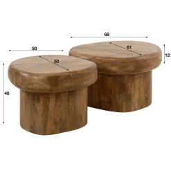WoonStijl Salontafel Sleek mango set van 2