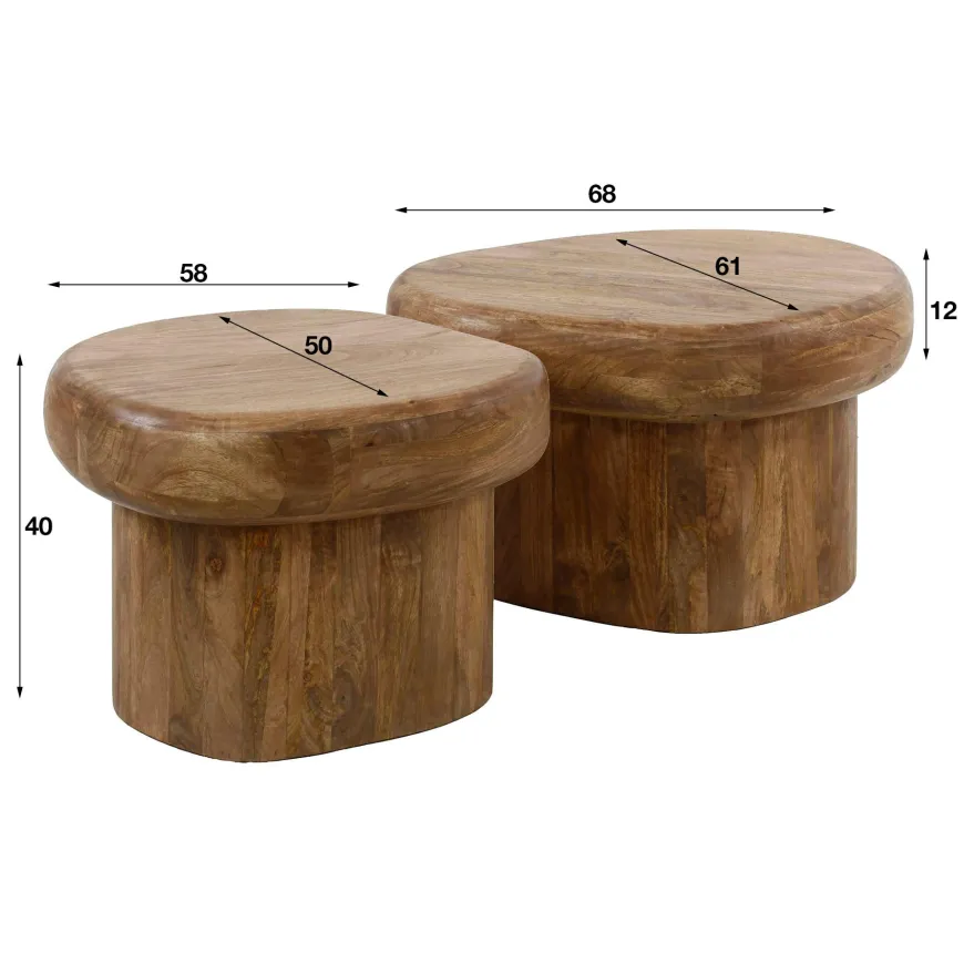 WoonStijl Salontafel Sleek mango set van 2