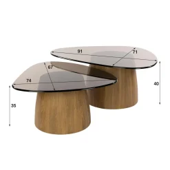 WoonStijl Salontafel Tinto driehoekig set set van 2 salontafels met brons glas
