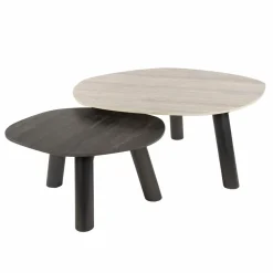 WoonStijl Salontafel Twin log set van 2 salontafels