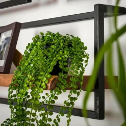WoonStijl Set Wandplanken Live Edge Groot