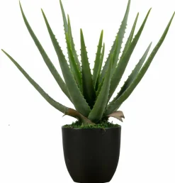 Woood AloË Vera Kunstplant Groen 46cm