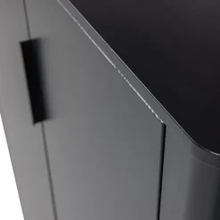 Woood Gunnar 2-Deurs Kast Grenen Matzwart [fsc]
