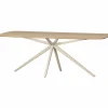 Woood Tablo Eettafel Deens Ovaal Verjongd 220x100 Cm Transparant [fsc]